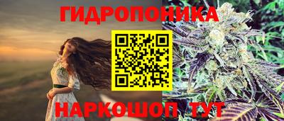 дживик Кизляр